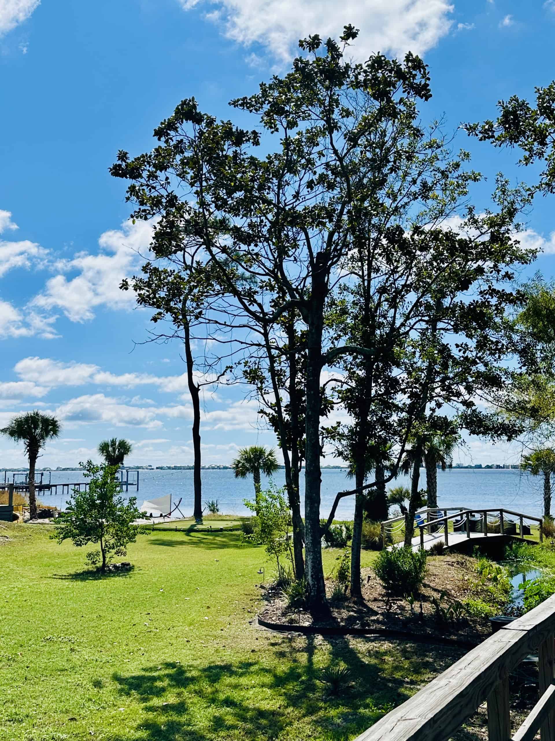 MAGNOLIA HARBOR HOMEOWNERS ASSOCIATION INC