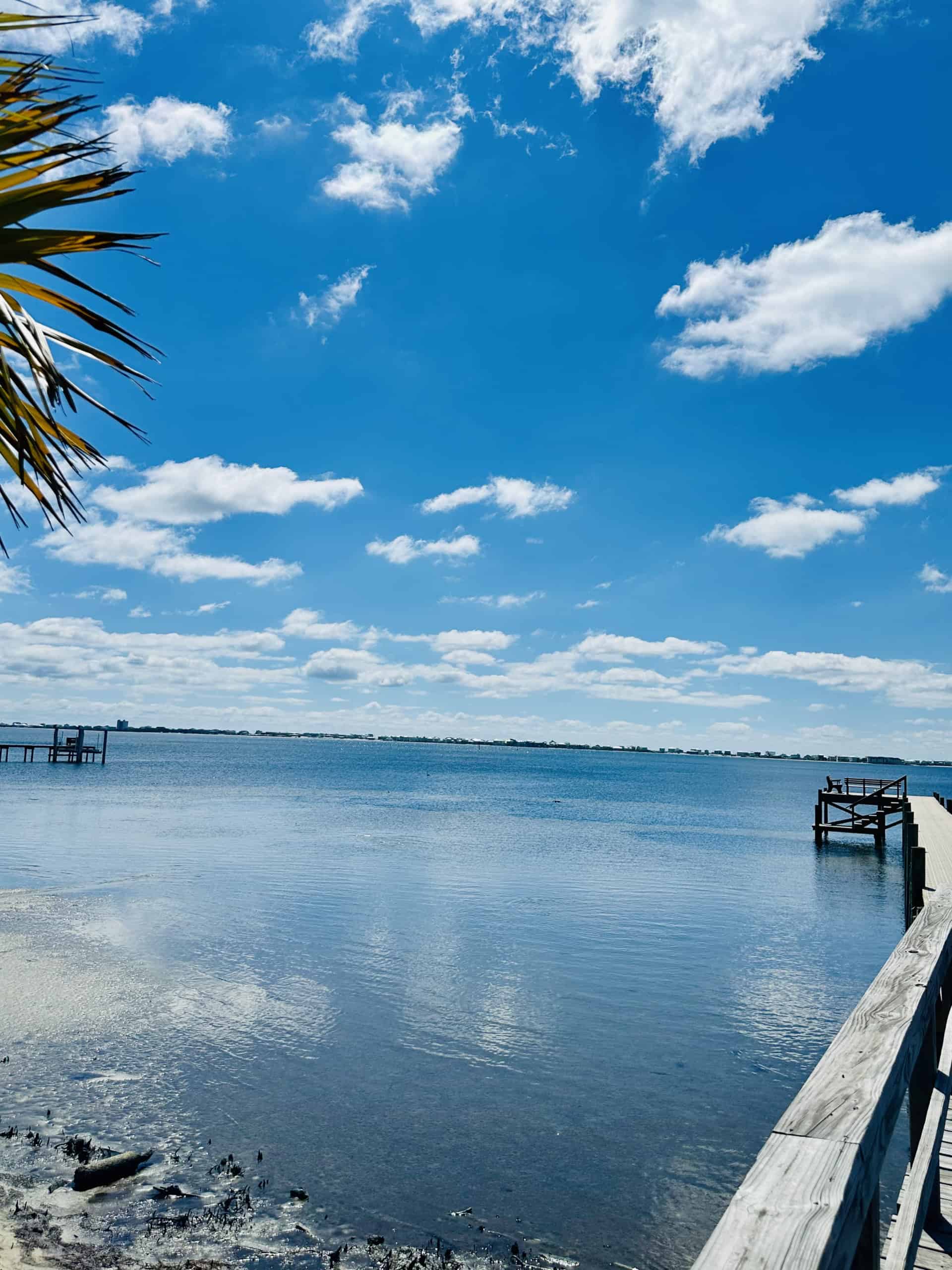 MAGNOLIA HARBOR HOMEOWNERS ASSOCIATION INC